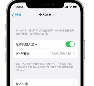 金寨apple服务站点分享iPhone上个人热点丢失了怎么办