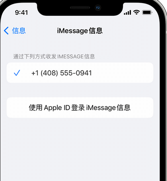 金寨apple维修iPhone上无法正常发送iMessage信息 