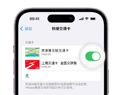 金寨apple维修点分享iPhone上更换Apple Pay快捷交通卡手绘卡面 