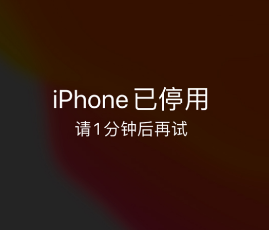 金寨苹果手机维修分享:iPhone 显示“不可用”或“已停用”怎么办？还能保留数据吗？ 