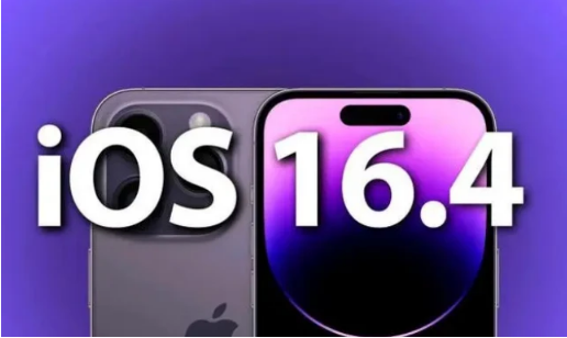 金寨苹果14维修分享：iPhone14可以升级iOS16.4beta2吗？ 