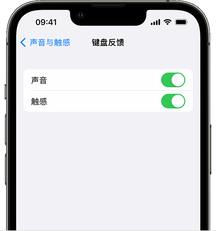 金寨苹果14维修店分享如何在 iPhone 14 机型中使用触感键盘 