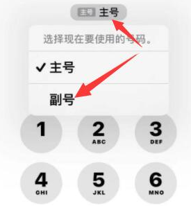 金寨苹果14维修店分享iPhone 14 Pro Max使用副卡打电话的方法 