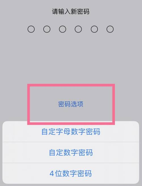 金寨苹果14维修分享iPhone 14plus设置密码的方法 