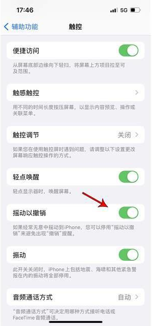 金寨苹果手机维修分享iPhone手机如何设置摇一摇删除文字 